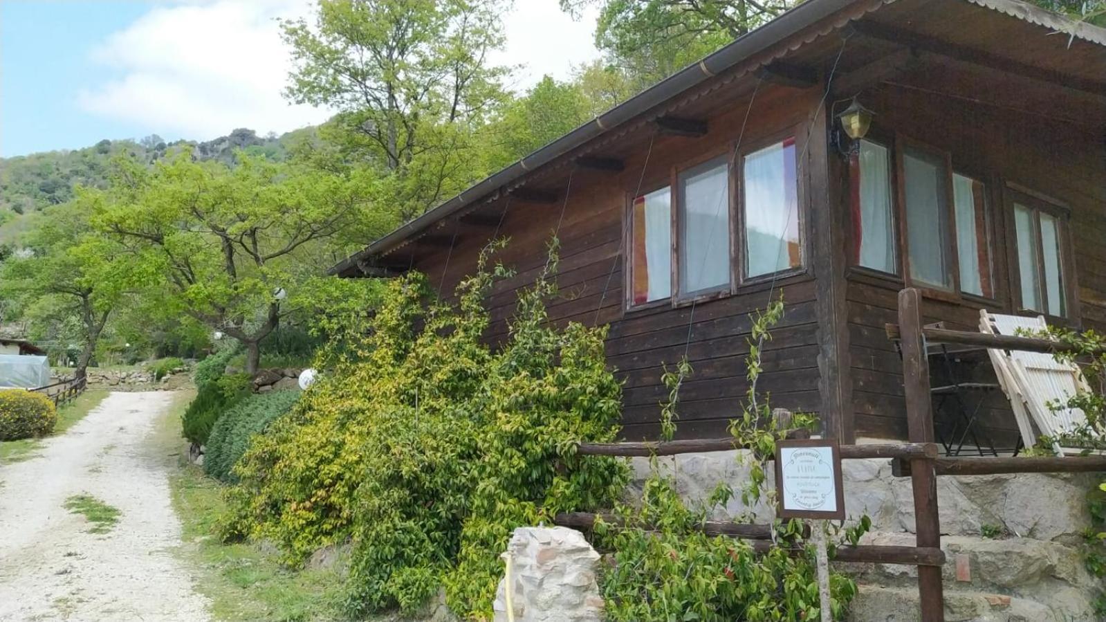 Azienda Agricola Biologica La Cardellina Tolfa Exteriör bild