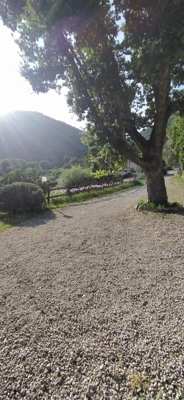 Azienda Agricola Biologica La Cardellina Tolfa Exteriör bild
