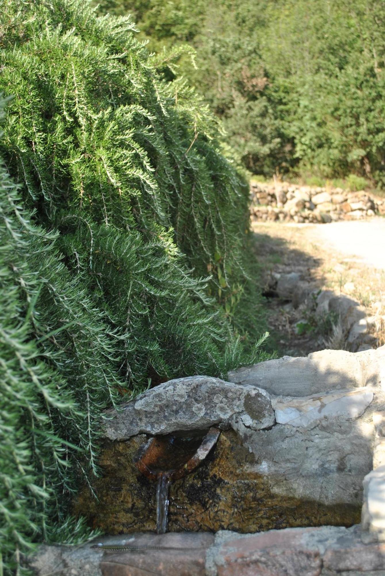 Azienda Agricola Biologica La Cardellina Tolfa Exteriör bild