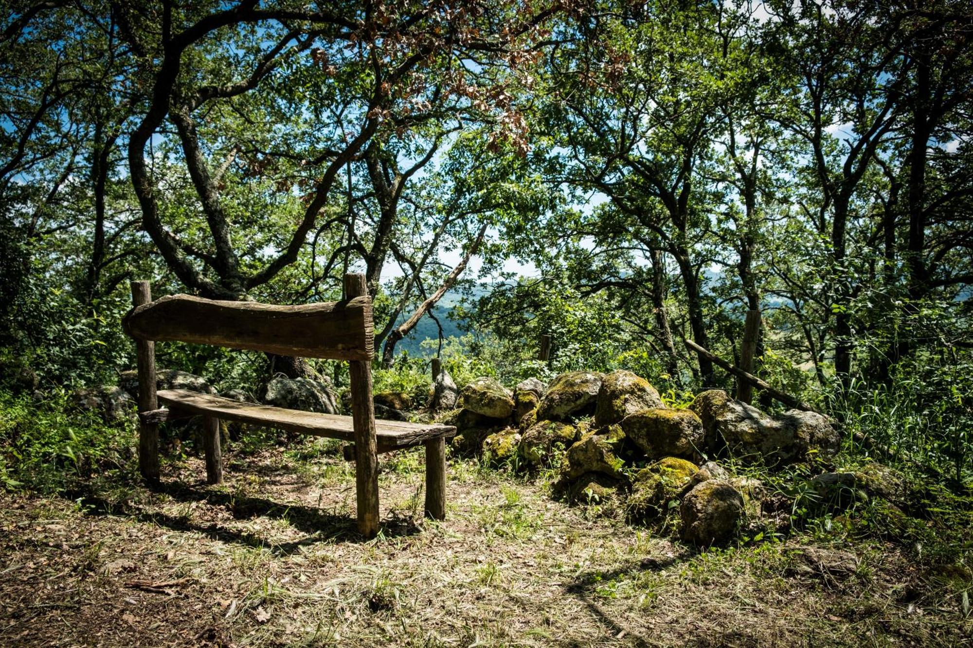Azienda Agricola Biologica La Cardellina Tolfa Exteriör bild
