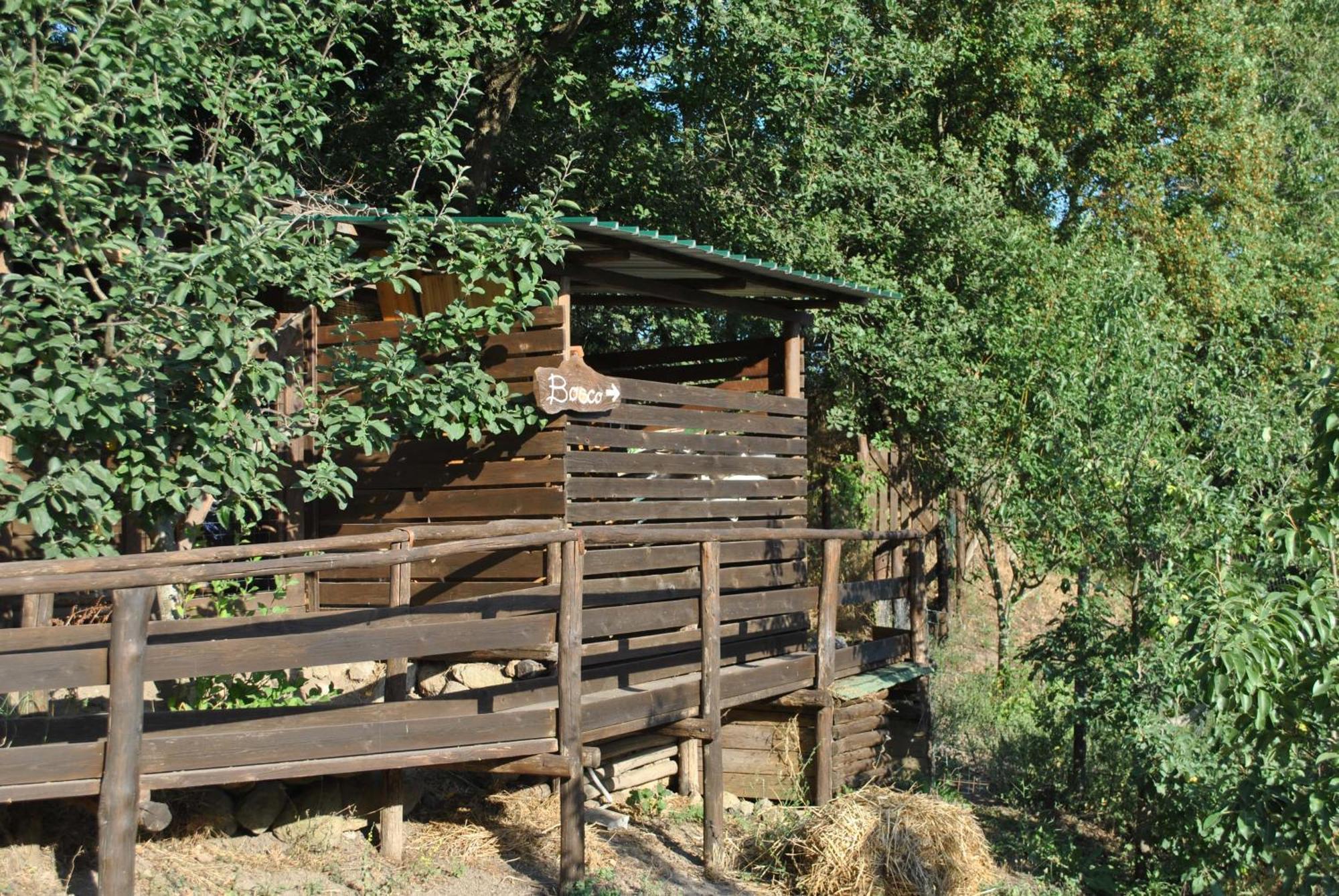 Azienda Agricola Biologica La Cardellina Tolfa Exteriör bild