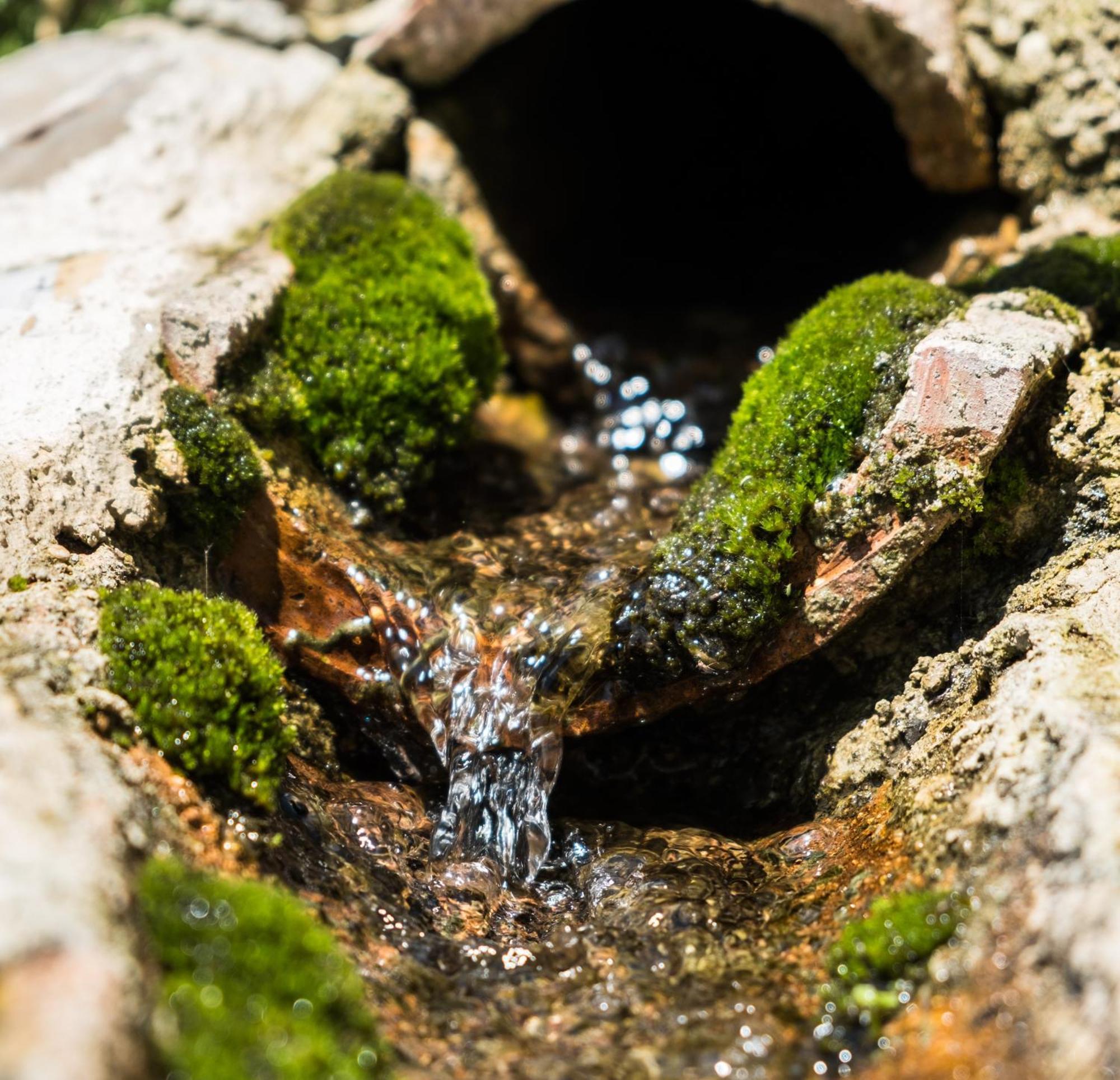Azienda Agricola Biologica La Cardellina Tolfa Exteriör bild